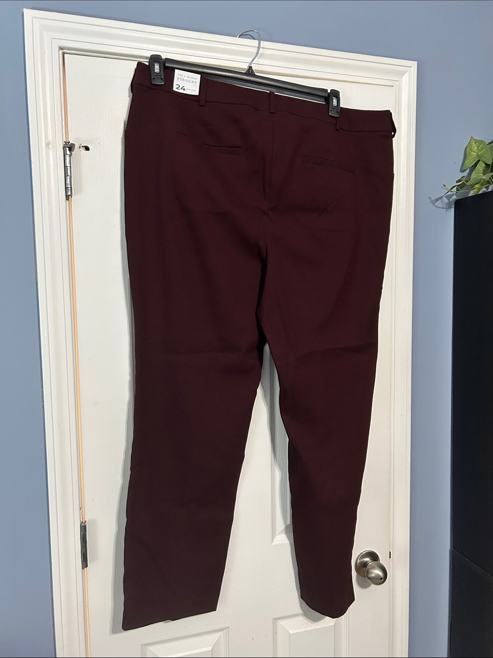 women’s Layne bryant The Four Seasons straight, mid rise pants size 24W